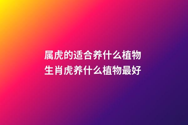 属虎的适合养什么植物 生肖虎养什么植物最好